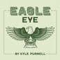 Eagle Eye by Kyle Purnell