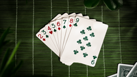 Succulent Playing Cards